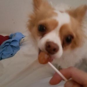 Meet your Posher, Michele